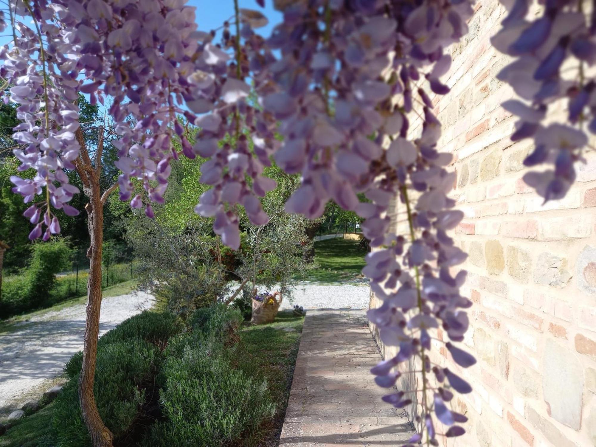 Il Casale Di Aurora Country House Colmurano Buitenkant foto