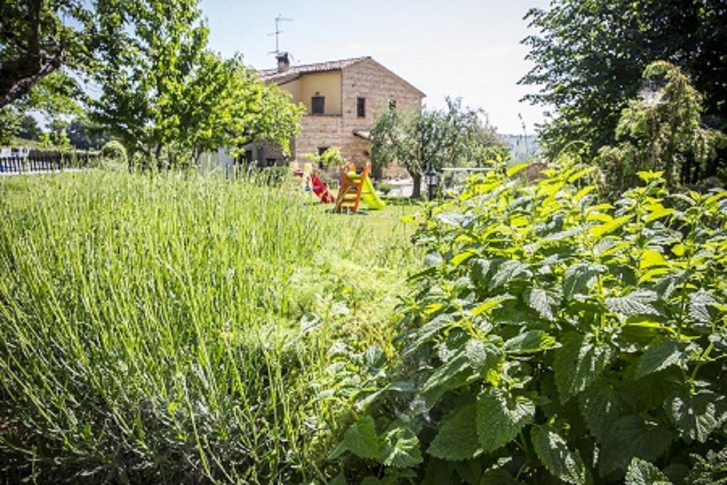 Il Casale Di Aurora Country House Colmurano Buitenkant foto