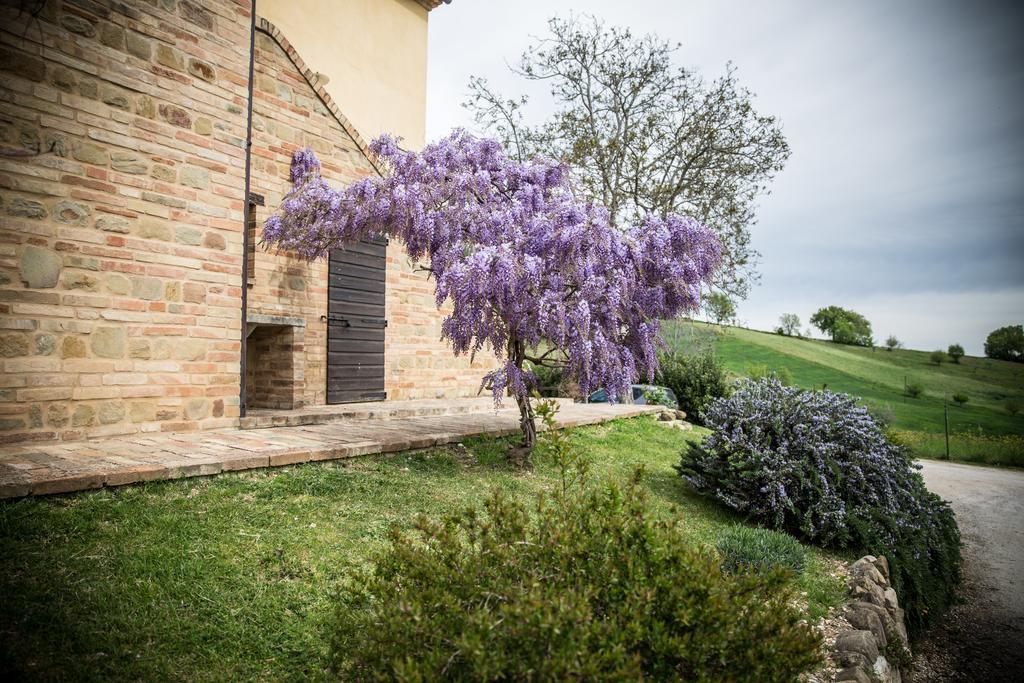 Il Casale Di Aurora Country House Colmurano Buitenkant foto
