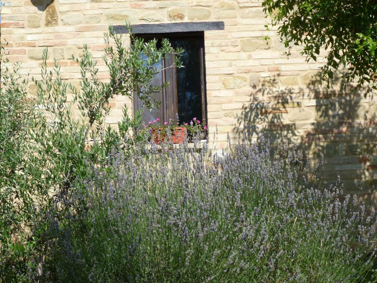 Il Casale Di Aurora Country House Colmurano Buitenkant foto